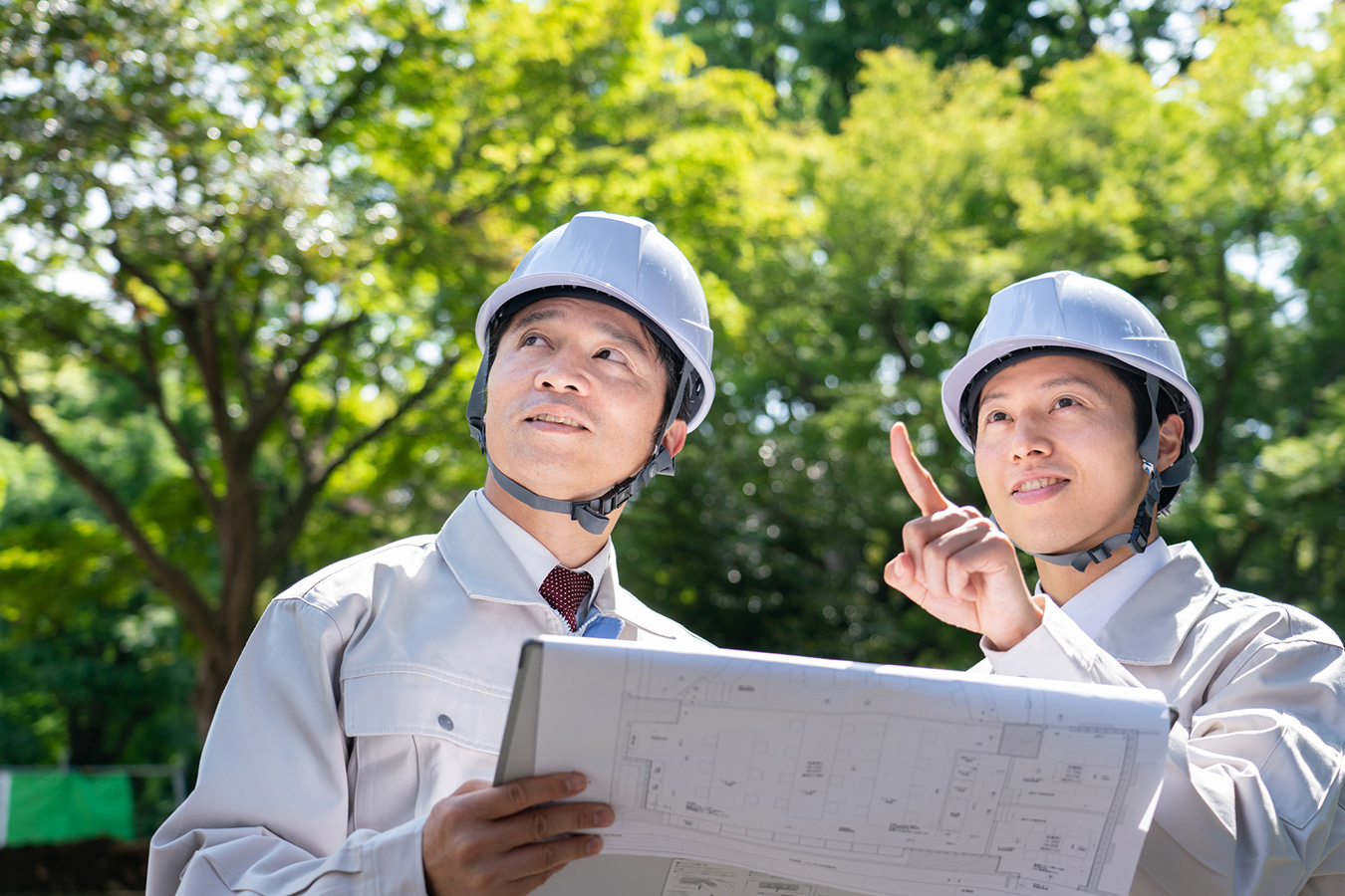 風通しの良さと成長環境